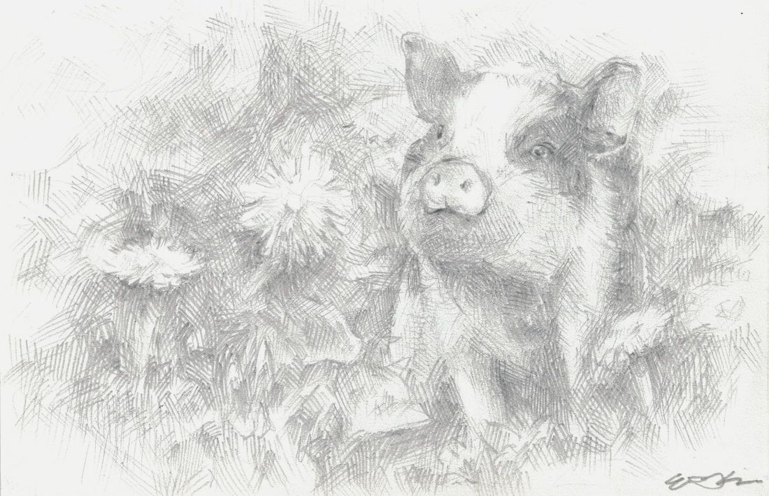 Blossom